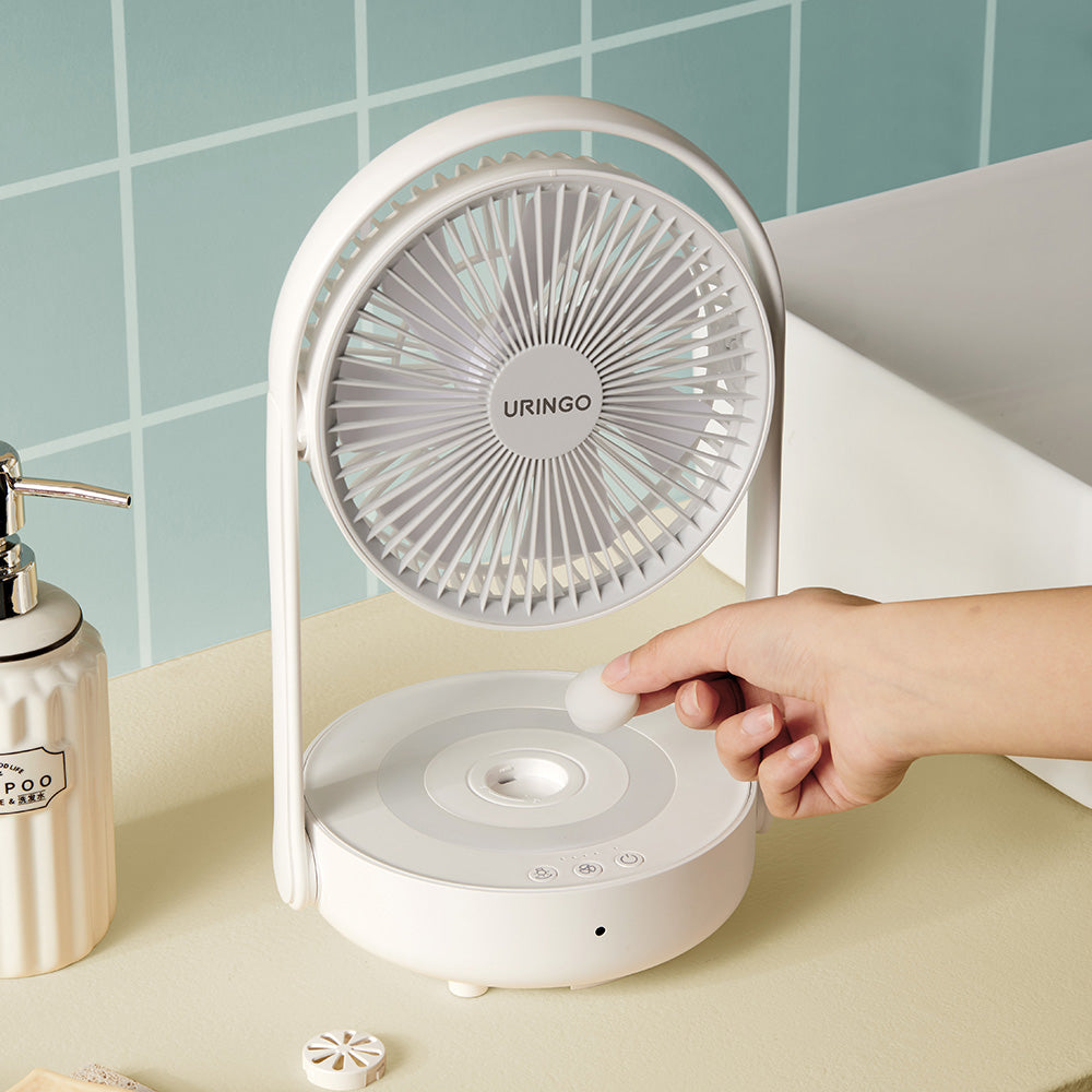 Portable Fan