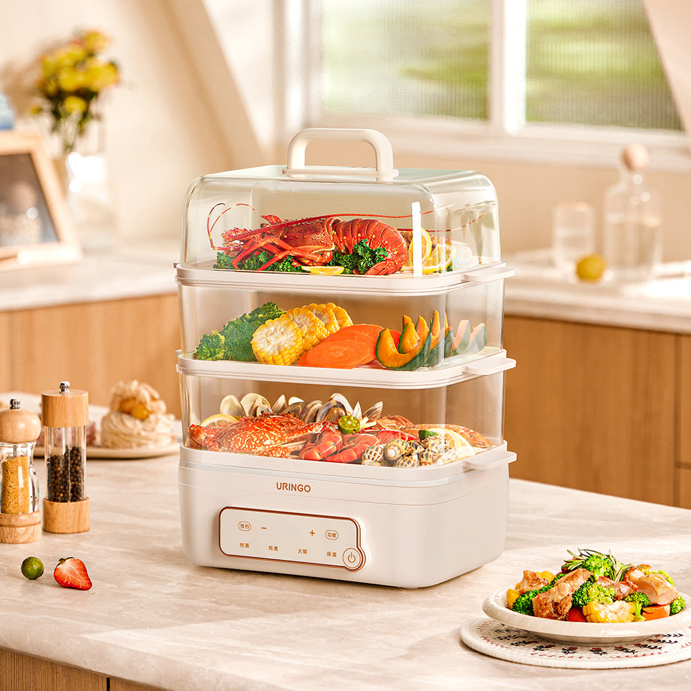Electric Steamer